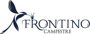 Logo Frontino azul