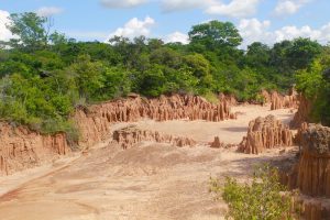 El desierto de Gualanday, una maravilla natural que debes conocer