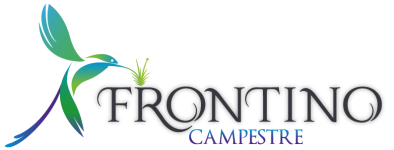 frontino