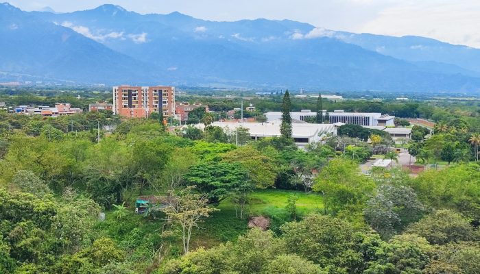 ¿Por qué vivir en Ibagué?