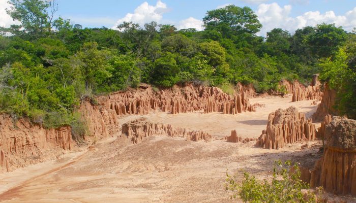 El desierto de Gualanday, una maravilla natural que debes conocer